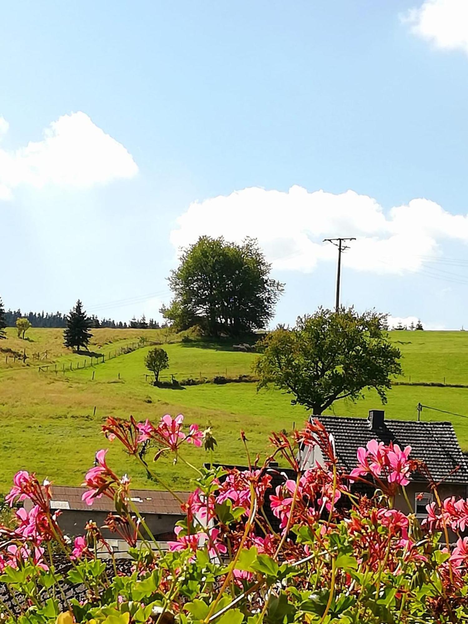 Am Lindenbaum, Ferienwohnung In Siebenbach Am Nuerburgring エクステリア 写真