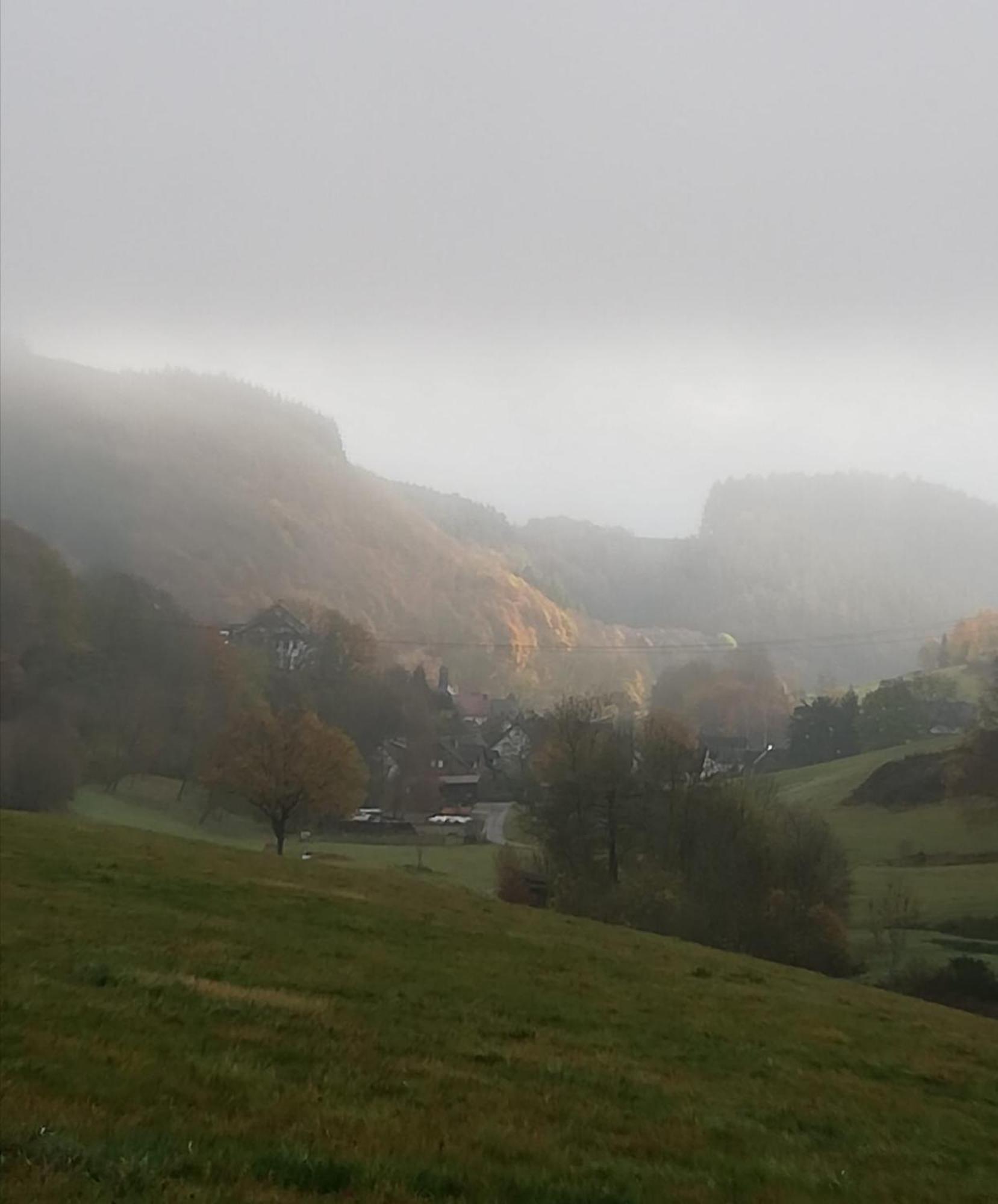 Am Lindenbaum, Ferienwohnung In Siebenbach Am Nuerburgring エクステリア 写真