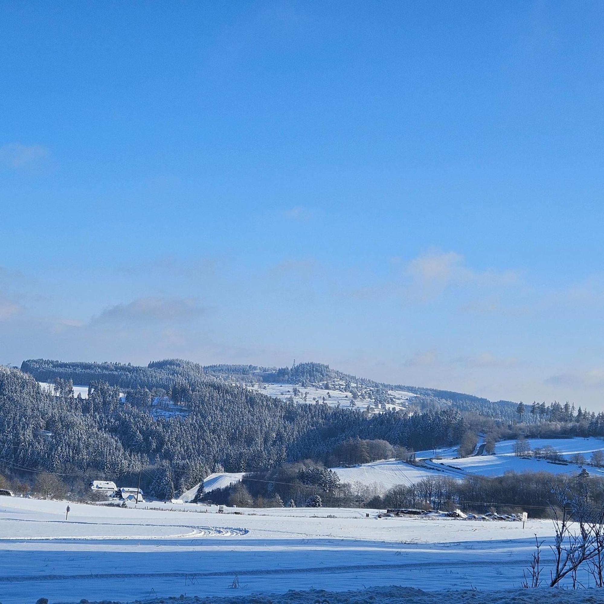 Am Lindenbaum, Ferienwohnung In Siebenbach Am Nuerburgring エクステリア 写真