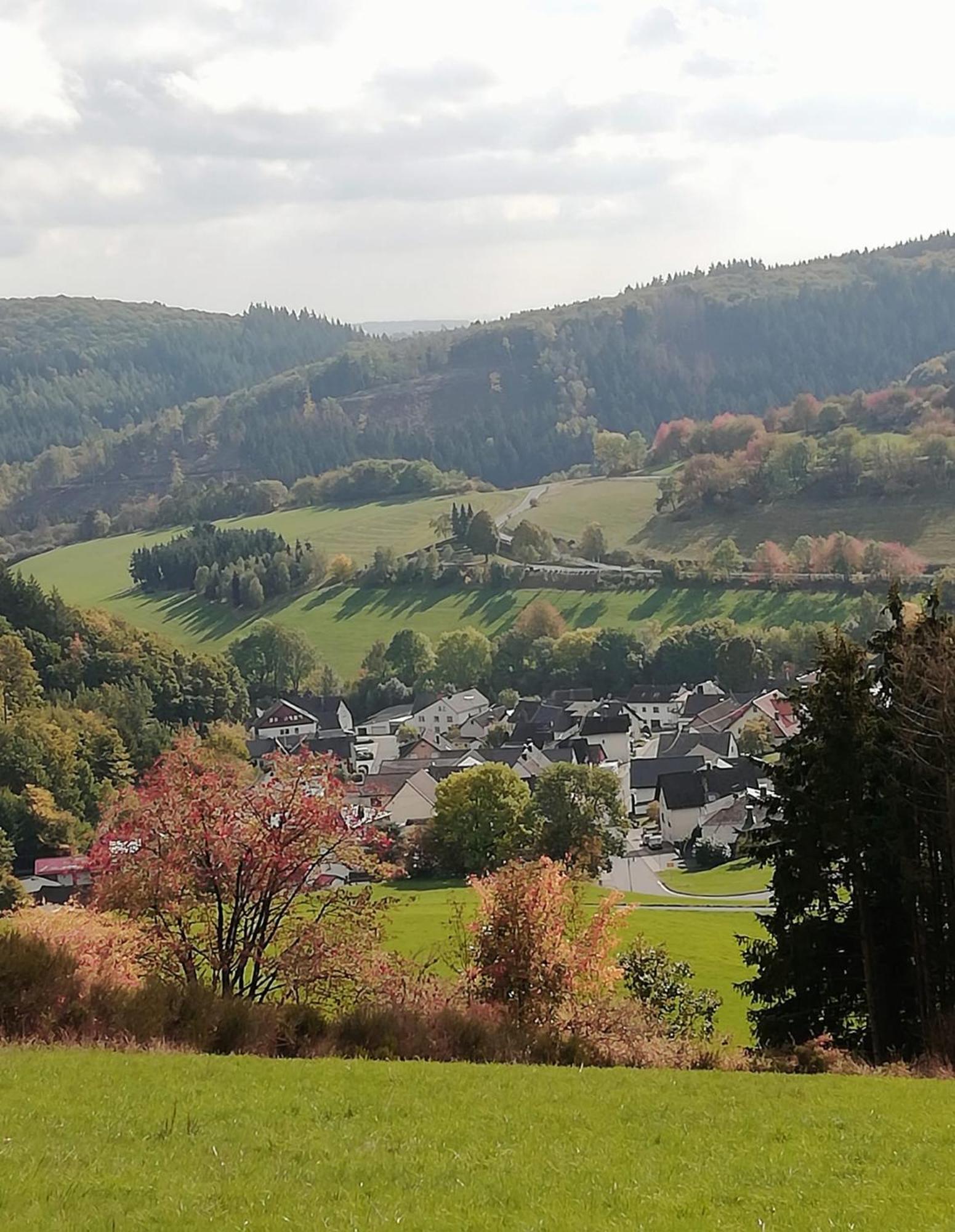 Am Lindenbaum, Ferienwohnung In Siebenbach Am Nuerburgring エクステリア 写真